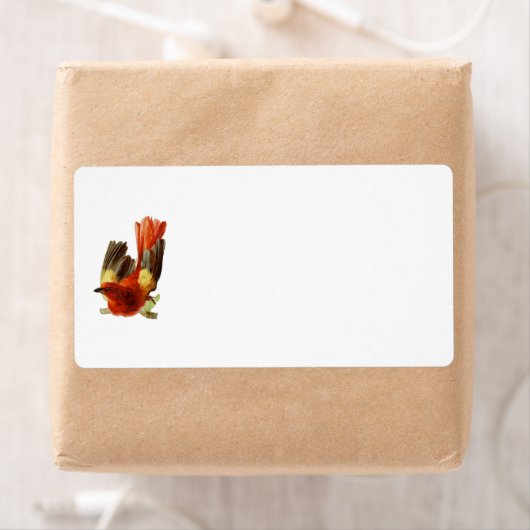 Tag der Vogelsammlung (Insitu)