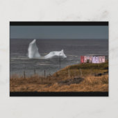 Tag der Wäsche Postkarte (Vorderseite)