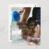 Tag des Baby-Todes Postkarte (Vorne/Hinten)