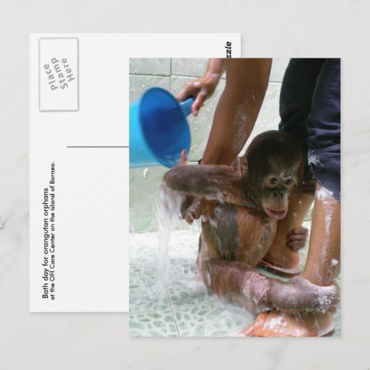 Tag des Baby-Todes Postkarte (Vorne/Hinten)