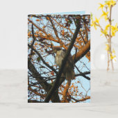 Tag des Falken Karte (Gelbe Blume)