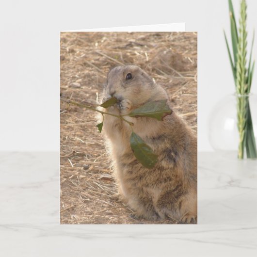 Tag des Groundhogs Karte (Vorderseite)