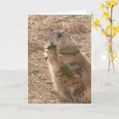 Tag des Groundhogs Karte (Gelbe Blume)