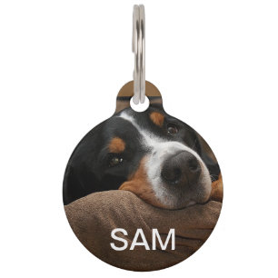 Tag des Hundes Tiermarke