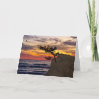 Tag des Sonnenunterganges-Baum-Vaters