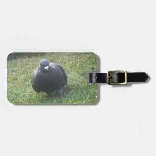 Tag für die Positionierung der Taube Gepäckanhänger