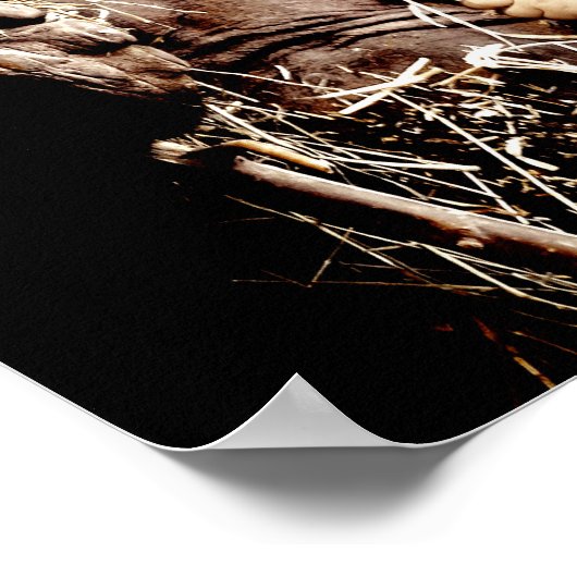 Tag im Zoo (Print) Poster (Ecke)