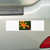 Tag lily.jpg autoaufkleber (Auf Auto)
