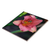 Tag-Lily-Macro-Bild Fliese (Seite)