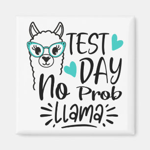 Tag Nr. Prob-Lama Llama Lehrer Testtag 2 Magnet