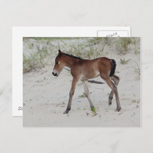 Tag Postkarte (Vorne/Hinten)