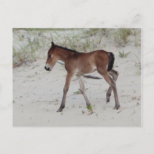 Tag Postkarte (Vorderseite)