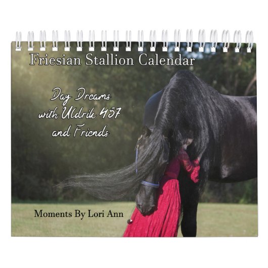 Tag Traum mit Uldrik 457 und Freunde Kalender (Titelbild)