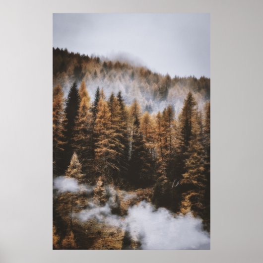 TAG UND BÄUME AM TAG POSTER (Vorne)