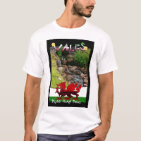 Tag Wales St David - Dydd Gwyl Dewi