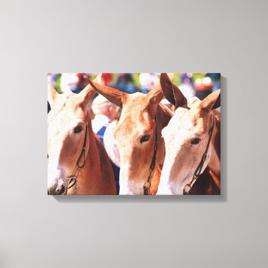 Tage der Maultiere in Kolumbien tl Leinwanddruck (Vorderseite)