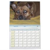 Tage Hunde2010 der China Kalender (Feb 2027)