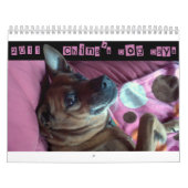 Tage Hunde2011 der China Kalender (Titelbild)
