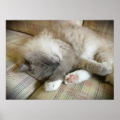 Tage, Poster (Vorne)