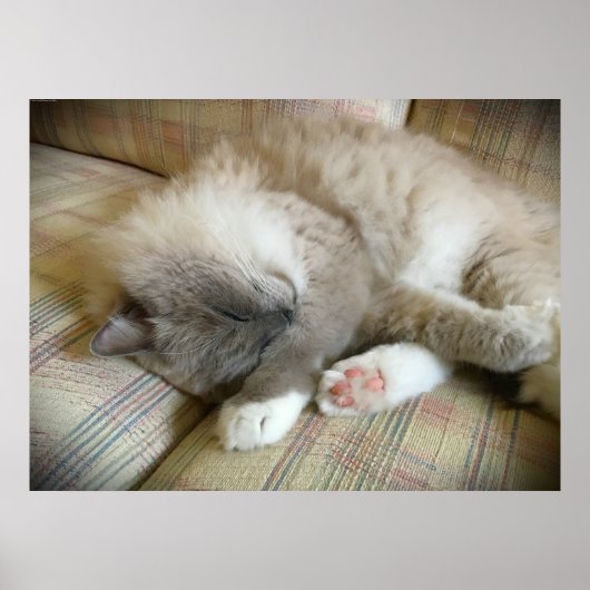 Tage, Poster (Vorne)