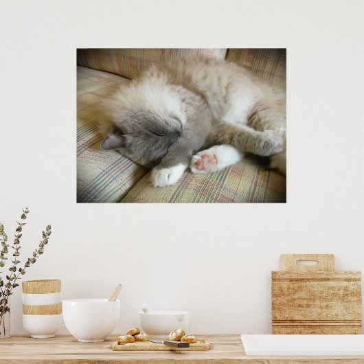 Tage, Poster (Küche)