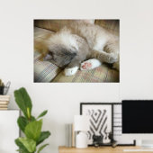 Tage, Poster (Heimbüro)