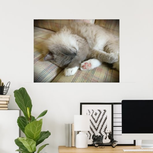 Tage, Poster (Heimbüro)