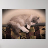 Tage, Poster (Vorne)