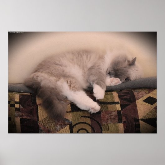 Tage, Poster (Vorne)