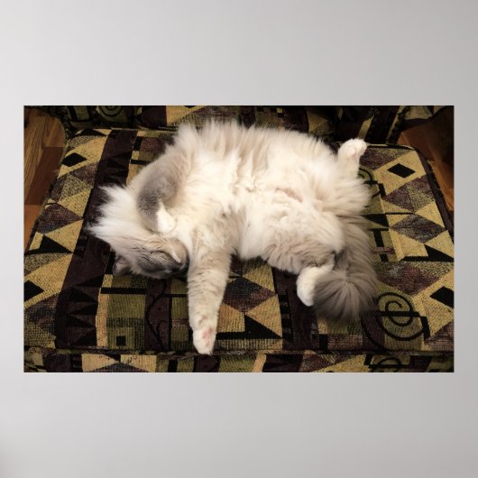 Tage, Poster (Vorne)