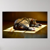 Tage, Poster (Vorne)