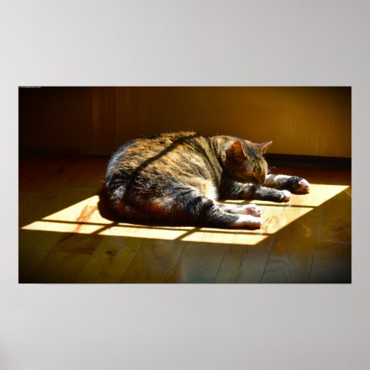 Tage, Poster (Vorne)