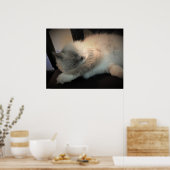 Tage, Poster (Küche)