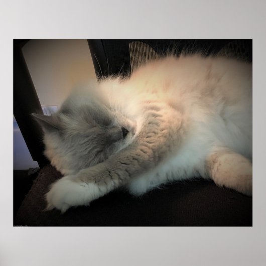 Tage, Poster (Vorne)