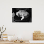 Tage, Poster (Küche)