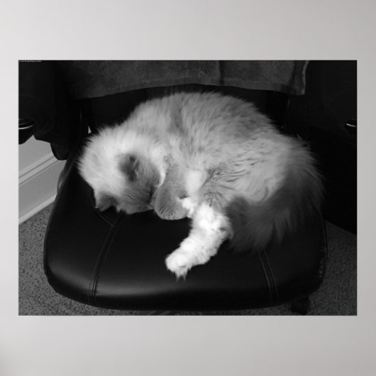 Tage, Poster (Vorne)