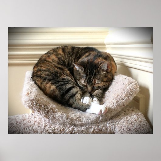 Tage, Poster (Vorne)