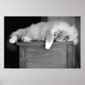 Tage, Poster (Vorne)