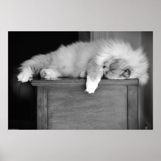 Tage, Poster (Vorne)