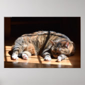 Tage, Poster (Vorne)