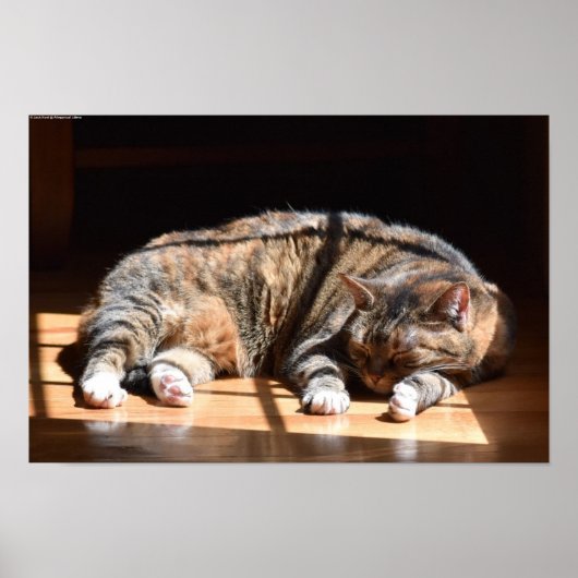 Tage, Poster (Vorne)