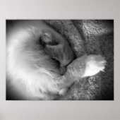 Tage, Poster (Vorne)