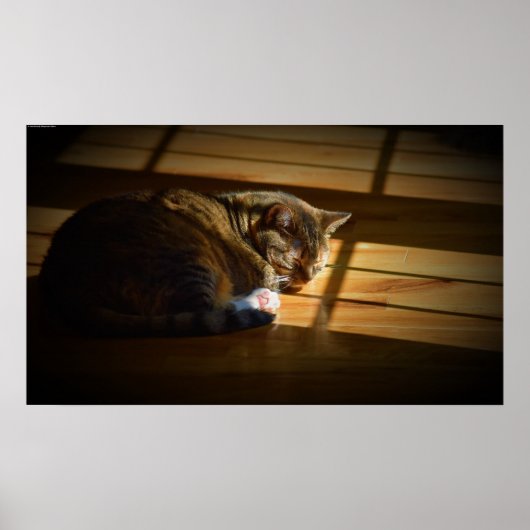 Tage, Poster (Vorne)