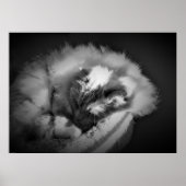 Tage, Poster (Vorne)
