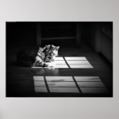 Tage, Poster (Vorne)