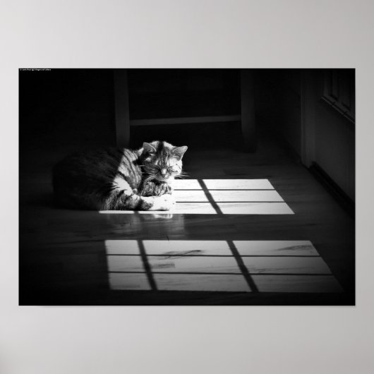 Tage, Poster (Vorne)