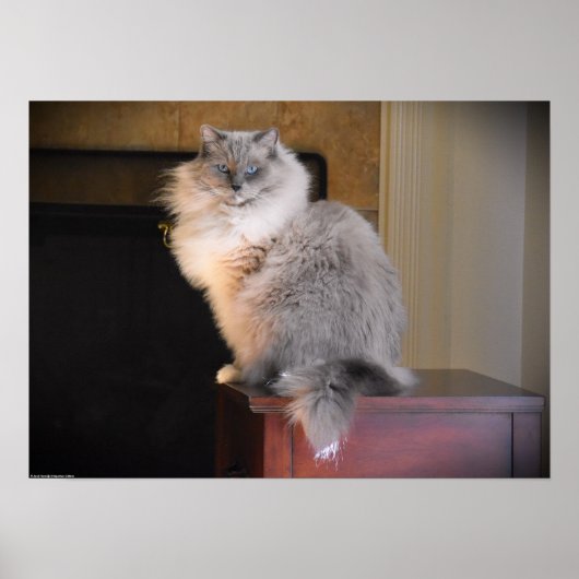 Tage, Poster (Vorne)