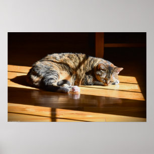 Tage, Poster