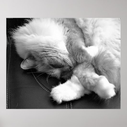 Tage, Poster (Vorne)