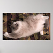 Tage, Poster (Vorne)